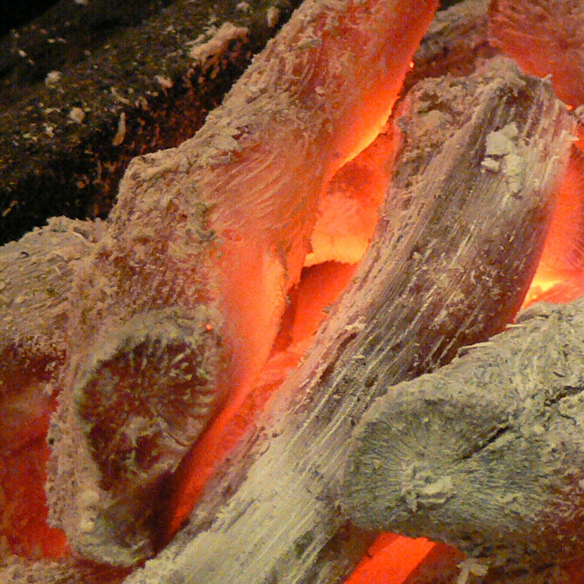 トップイメージ01